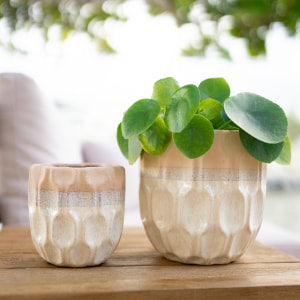 Planters - Desert Dunes (Set of 2)