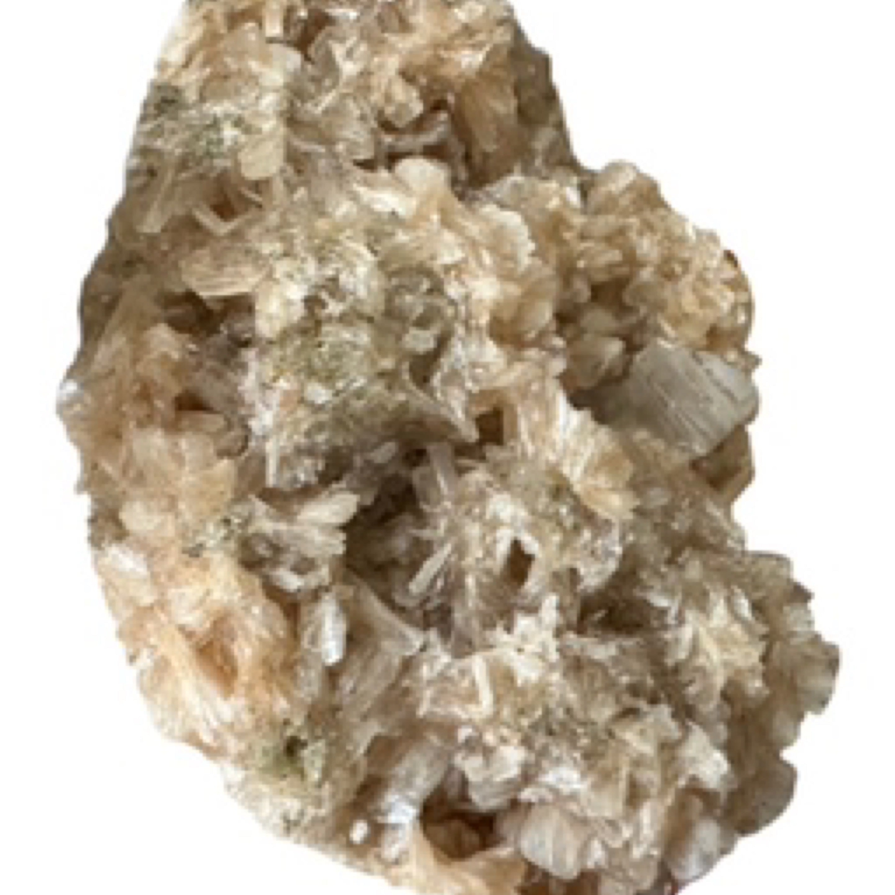 Apophyllite Cluster