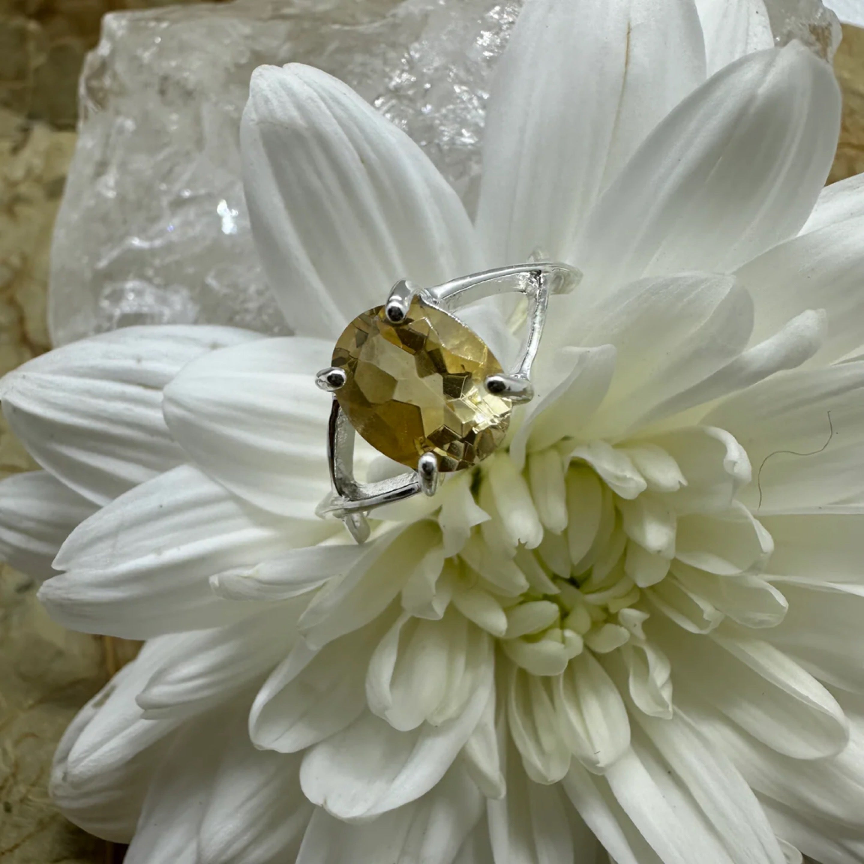 Citrine Oval 925 Sterling Silver Ring - Size 9 - Quality Gemstone Jewellery