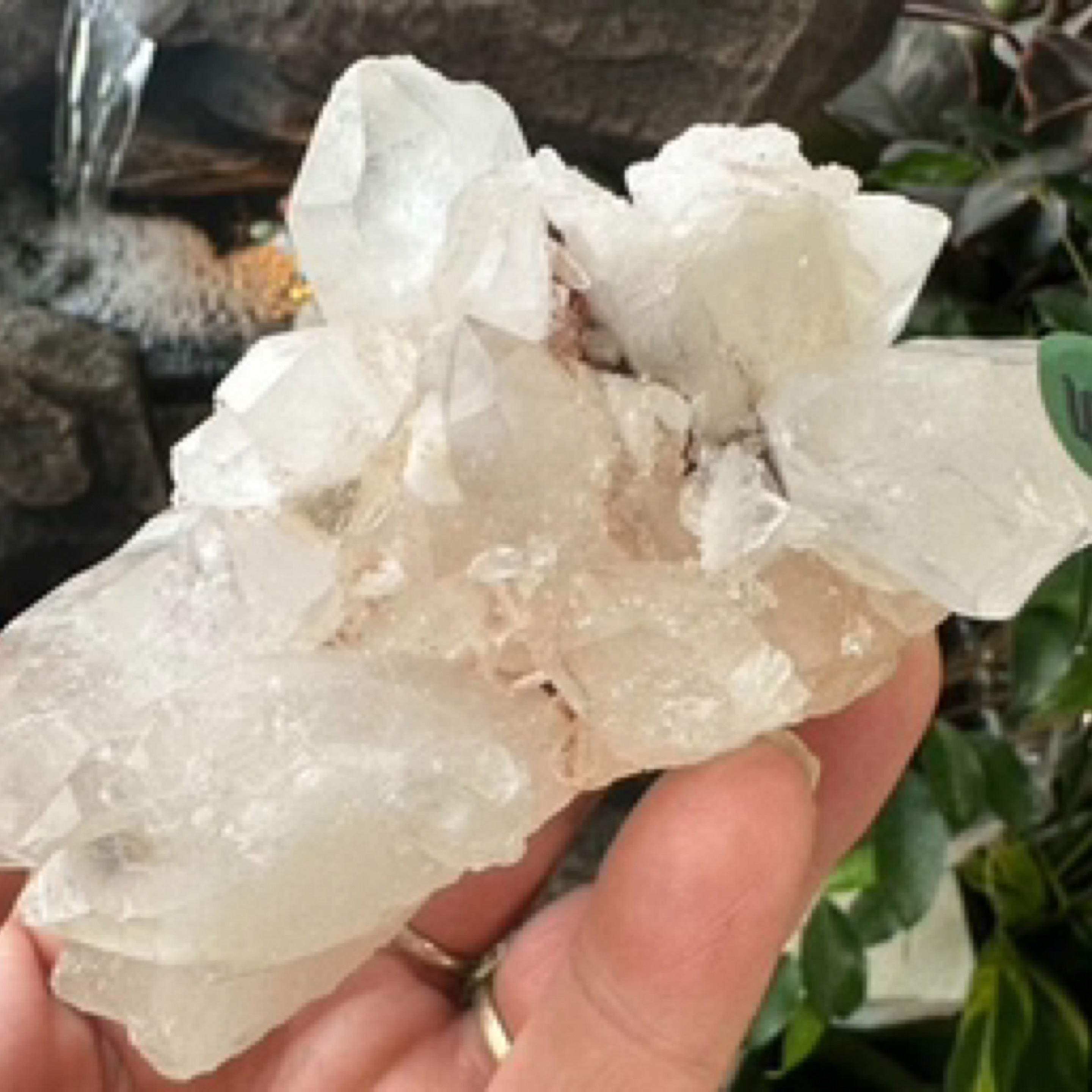 Clear Quartz Cluster