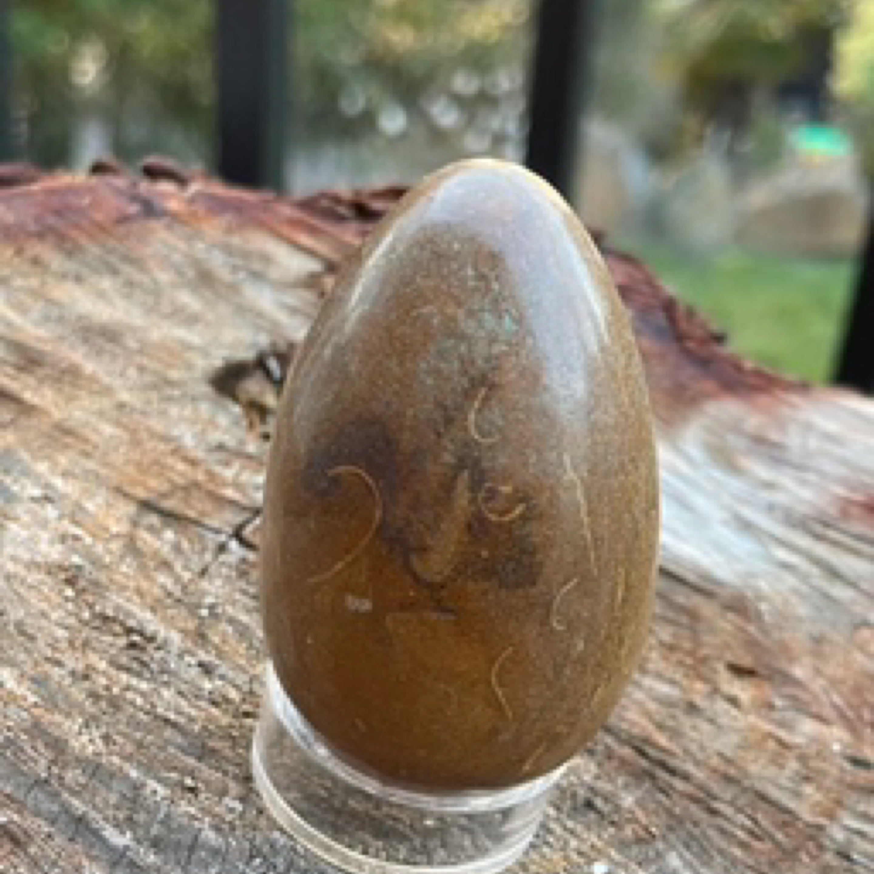 Eggs - Jasper Elephant Skin