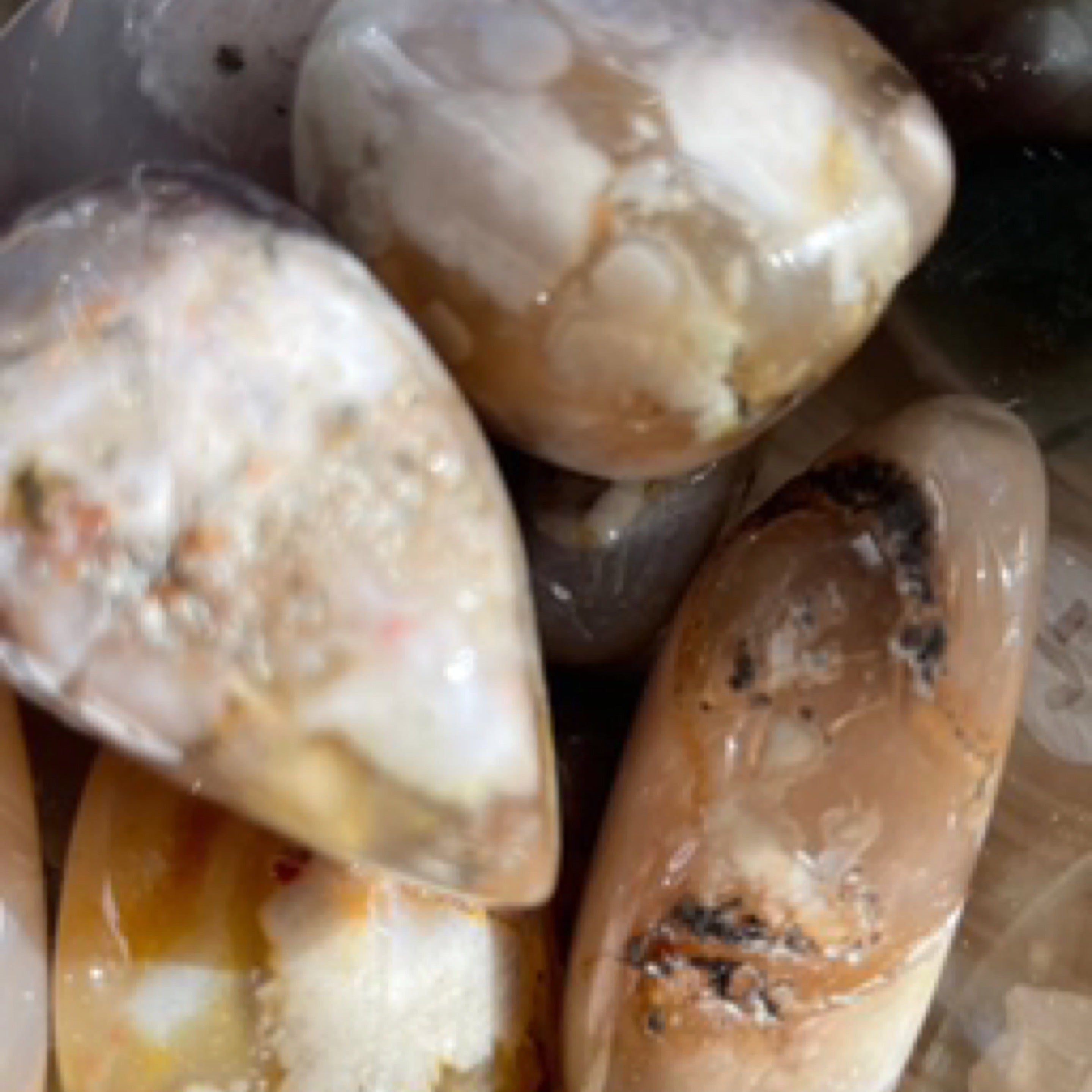 Flower Blossom Agate Tumble Stone
