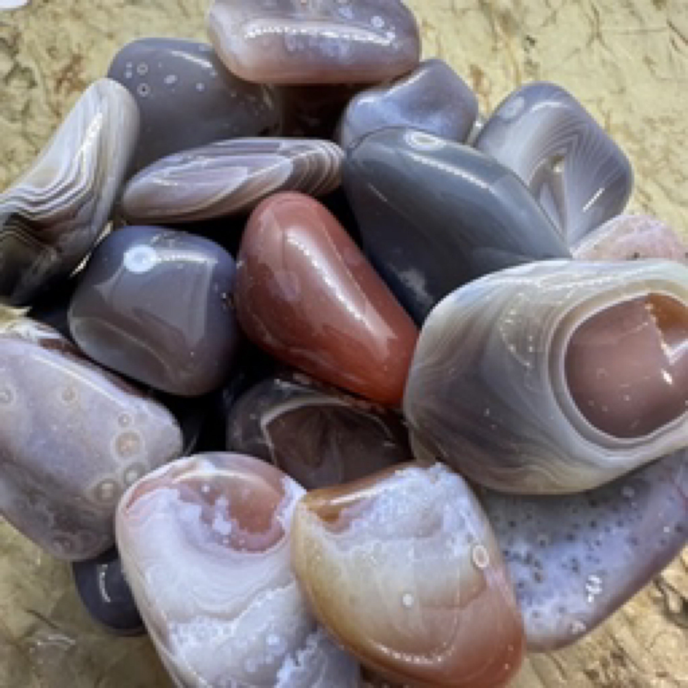 Grey Botswana Eye Agate Tumble Stone