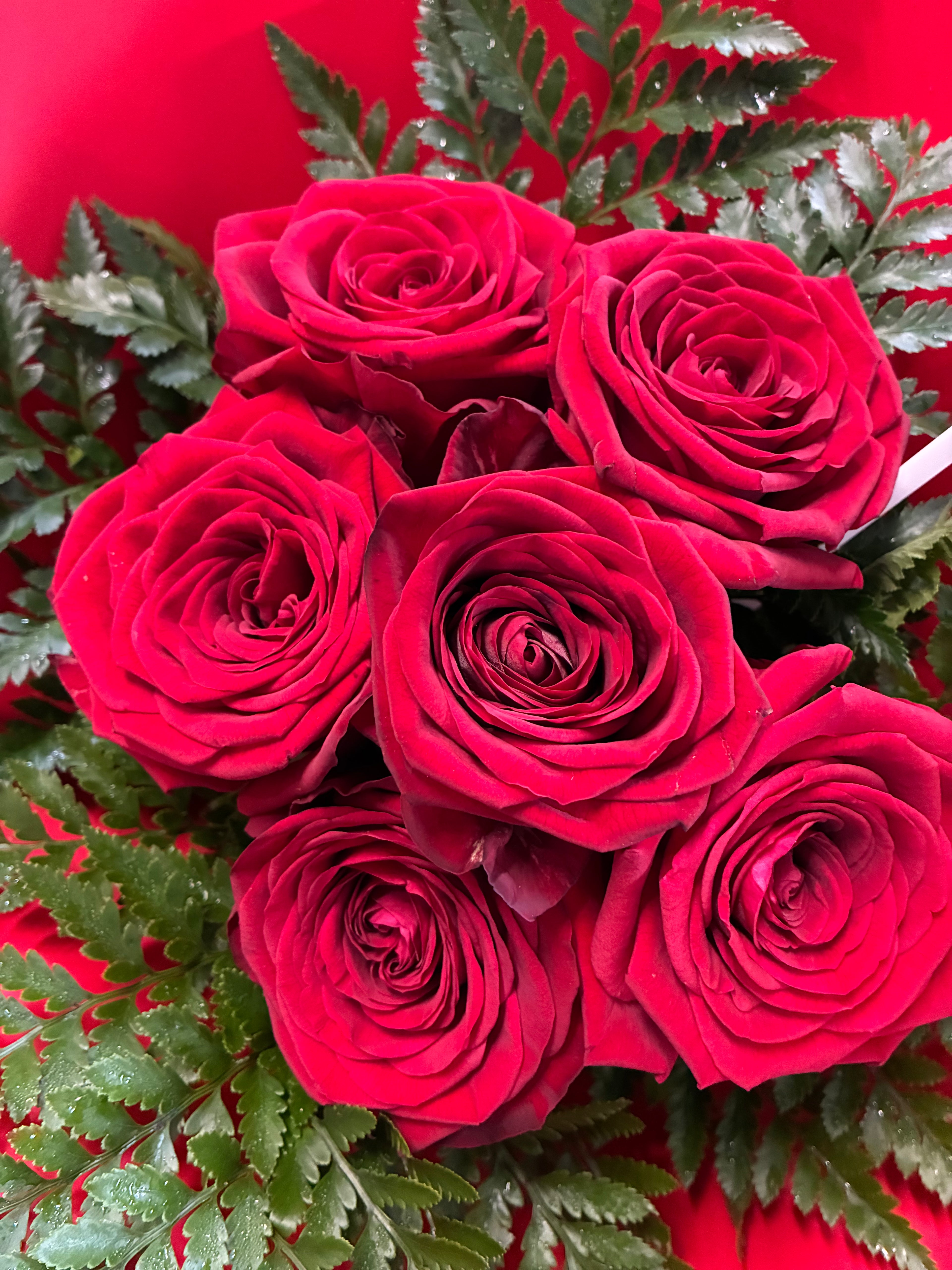 Bouquet of 6 red roses with green fern in red flower wrap at My Florist Launceston