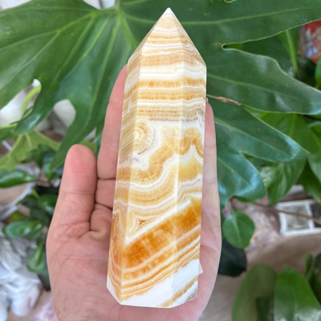 Hand holding a yellow calcite crystal generator against a green leafy background